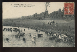 80 - FORT-MAHON - TROUPEAU DE VACHES DANS L'AUTHIE PRES DU PONT A CAILLOUX - Fort Mahon