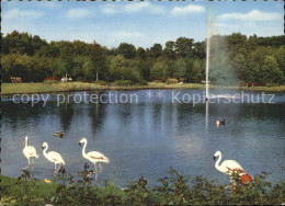 72368137 Rheinhausen Duisburg Flamingoteich Im Volkspark Fontaene Rheinhausen Du - Duisburg