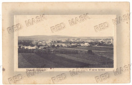 RO 93 - 20993 HATEG, Hunedoara, Panorama, Romania - Old Postcard - Used - 1913 - Romania