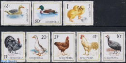 Albania 1967 Poultry 8v, Mint NH, Nature - Birds - Ducks - Poultry - Geese - Albania