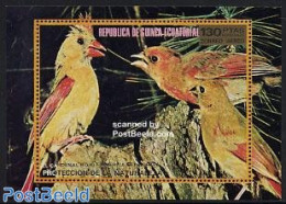 Equatorial Guinea 1976 North American Birds S/s, Mint NH, Nature - Birds - Äquatorial-Guinea