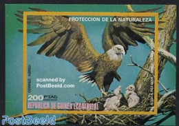 Equatorial Guinea 1976 North American Birds S/s, Mint NH, Nature - Birds - Birds Of Prey - Equatorial Guinea