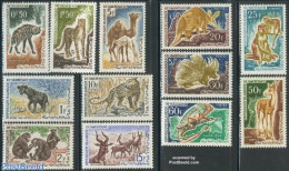 Mauritania 1963 Animals 12v, Mint NH, Nature - Animals (others & Mixed) - Camels - Cat Family - Monkeys - Reptiles - Other & Unclassified