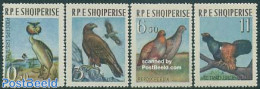 Albania 1963 Birds 4v, Mint NH, Nature - Birds - Birds Of Prey - Albania