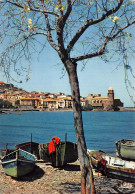 66-COLLIOURE-N°C-4341-B/0267 - Collioure