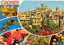 06-CAGNES SUR MER-N°C-4341-A/0115 - Cagnes-sur-Mer