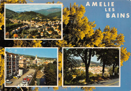 66-AMELIE LES BAINS-N°C-4341-A/0083 - Otros & Sin Clasificación