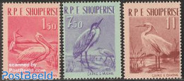Albania 1961 Birds 3v, Mint NH, Nature - Birds - Albanie