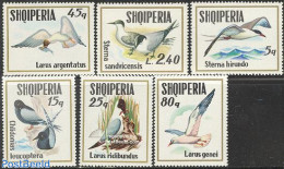 Albania 1973 Sea Birds 6v, Mint NH, Nature - Birds - Albanie