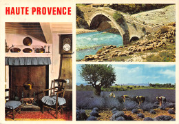 04-HAUTE PROVENCE-N°C-4341-A/0071 - Sonstige & Ohne Zuordnung