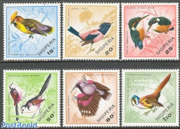Albania 1968 Birds 6v, Mint NH, Nature - Birds - Kingfishers - Albania