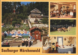 72367115 Saalburg-Ebersdorf Saalburger Maerchenwald Freizeitpark Tiergehege Rest - Sonstige & Ohne Zuordnung