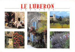84-LE LUBERON-N°C-4342-A/0343 - Sonstige & Ohne Zuordnung