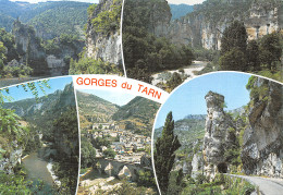 48-GORGES DU TARN VUES-N°C-4342-A/0093 - Gorges Du Tarn