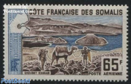 French Somalia 1965 Ghoubet Kharab 1v, Mint NH, Nature - Animals (others & Mixed) - Camels - Other & Unclassified