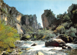 48-GORGES DU TARN-N°C-4342-D/0269 - Gorges Du Tarn