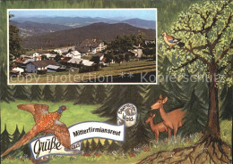 72367000 Mitterfirmiansreut Erholungsort Nationalpark Bayerischer Wald Auerhahn  - Sonstige & Ohne Zuordnung