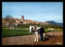 63 - MONTPEYROUX - MR COSTE ET SON CHEVAL DE LABOUR - Other & Unclassified