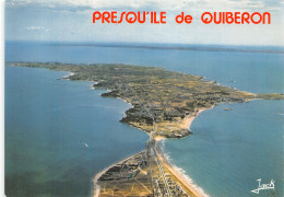 56-QUIBERON-N°C-4343-C/0335 - Quiberon