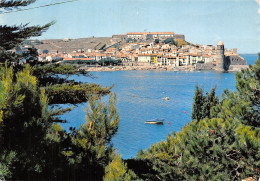 66-COLLIOURE-N°C-4343-C/0049 - Collioure