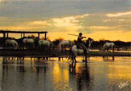 13-CAMARGUE-N°C-4343-B/0111 - Autres & Non Classés