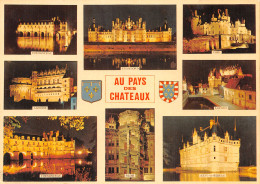 37-CHATEAUX DE LA LOIRE-N°C-4343-A/0355 - Autres & Non Classés