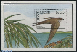 Sierra Leone 1990 Cypsiurus Parvus S/s, Mint NH, Nature - Birds - Other & Unclassified