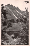 63-PIC DU SANCY-N°5187-C/0129 - Other & Unclassified