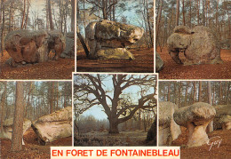 77-FONTAINEBLEAU-N°C-4344-A/0135 - Fontainebleau