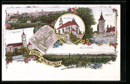 Lithographie Waiblingen, Neue Kirche, Alte Kirche, Marktbrunnen  - Waiblingen