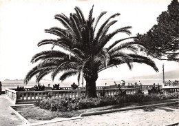 06-JUAN LES PINS-N°C-4343-D/0001 - Juan-les-Pins