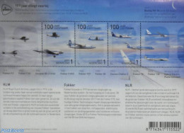 Netherlands 2019 100 Years Aviation 3v M/s, Mint NH, Transport - Aircraft & Aviation - Unused Stamps