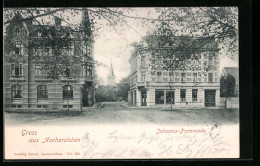 AK Aschersleben, Johannis-Promenade Mit Haus Otto Weinmeister Und Kirche  - Aschersleben