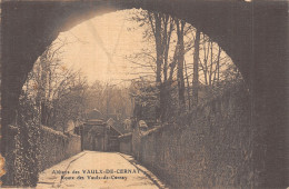 78-VAUX DE CERNAY-N°5187-D/0023 - Vaux De Cernay