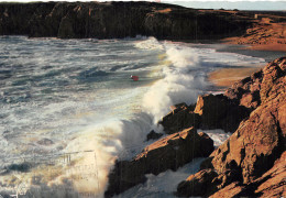 56-QUIBERON-N°C-4344-C/0157 - Quiberon