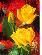 TH-FLEURS  ROSE GRISBI-N°C-4344-B/0359 - Flowers