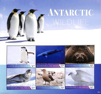 Marshall Islands 2020 Antarctic Wildlife 6v M/s, Mint NH, Nature - Science - Animals (others & Mixed) - Birds - Pengui.. - Other & Unclassified