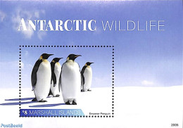 Marshall Islands 2020 Antarctic Wildlife S/s, Mint NH, Nature - Science - Birds - Penguins - The Arctic & Antarctica - Other & Unclassified