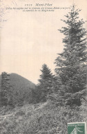 42-MONT PILAT-N°5187-H/0049 - Mont Pilat