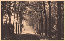 78-VERSAILLES ALLEE DE L ETE-N°5187-G/0099 - Versailles (Château)