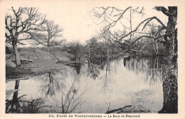 77-FONTAINEBLEAU LA FORET MARE DE FRANCHARD-N°5188-C/0041 - Fontainebleau