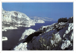 13-CASSIS SUR MER-N°C-4345-D/0011 - Cassis