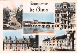 41-BLOIS-N°C-4345-C/0263 - Blois