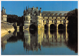 37-CHENONCEAUX LE CHATEAU-N°C-4345-C/0103 - Chenonceaux