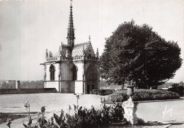 37-AMBOISE LE CHATEAU-N°C-4345-C/0019 - Amboise