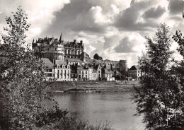 37-AMBOISE LE CHATEAU-N°C-4345-C/0017 - Amboise