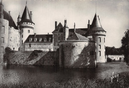 41-SULLY SUR LOIRE LE CHATEAU-N°C-4345-B/0277 - Sully Sur Loire