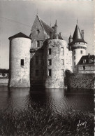 41-SULLY SUR LOIRE LE CHATEAU-N°C-4345-B/0271 - Sully Sur Loire