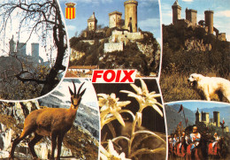 09-FOIX-N°C-4345-B/0133 - Foix