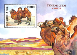 Mongolia 2022 Camel S/s, Mint NH, Nature - Animals (others & Mixed) - Camels - Mongolië